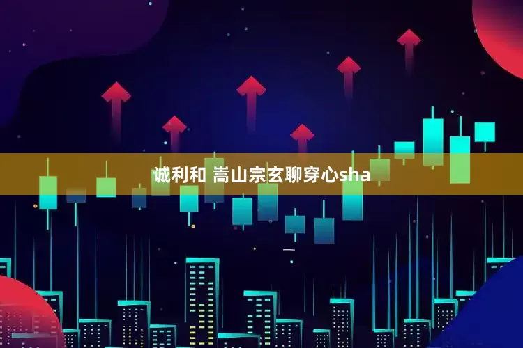 诚利和 嵩山宗玄聊穿心sha