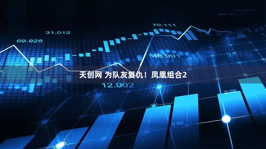 天创网 为队友复仇！凤凰组合2